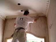 Decorative Plasterwork